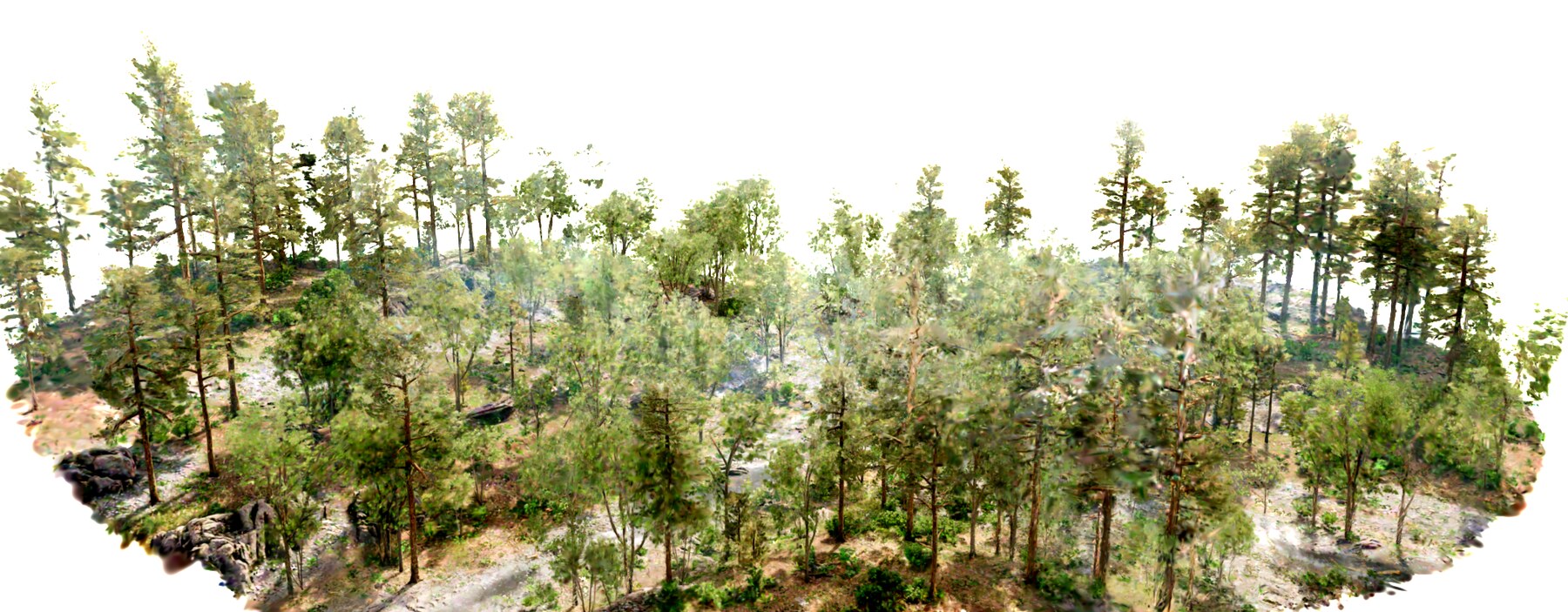 Gaussian-splat reconstruction of a forest scene used as a flight environment